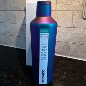 Corkcicle Insulated 16oz Canteen Stainless Steel Water Bottle Dragonfly